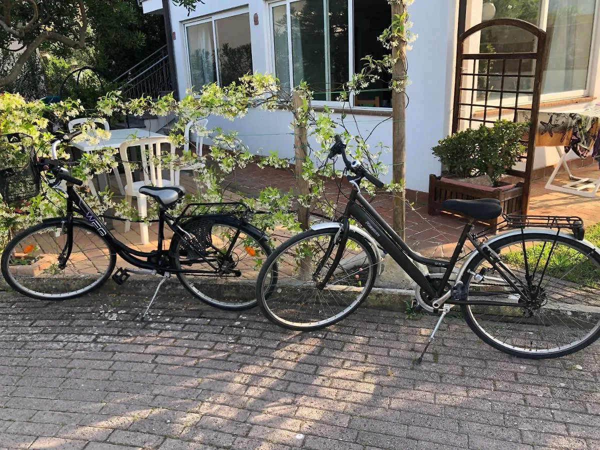 Appartamenti Mimosa - Clima, Giardino, Posti Auto Marina di Campo Italië